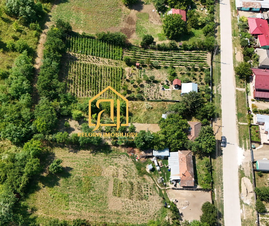 Articol blog imobiliar: Cum Sa Negociezi Pretul Unei Proprietati: 10 Tehnici Care Functioneaza - Relora Imobiliare Iași